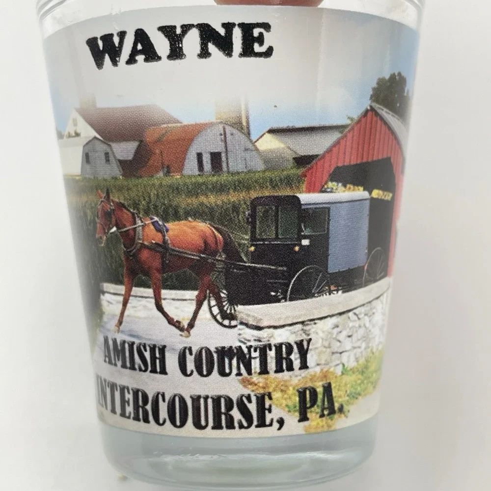 Vintage Wayne Souvenir‎ Shot Glasses Set of 4 Amish PA Atlantic City NJ Knoebels